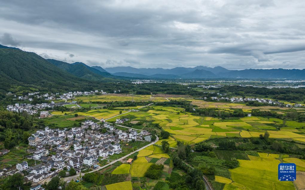 娱乐88场